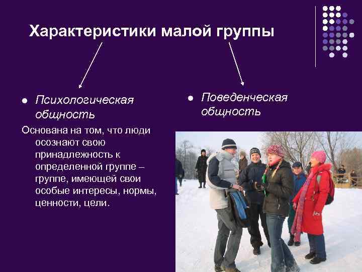 Характеристики малой группы Психологическая общность Основана на том, что люди осознают свою принадлежность к