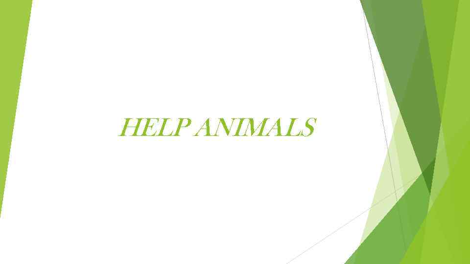 HELP ANIMALS 