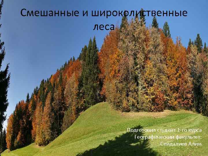 Смешанные и широколиственные леса Подготовил студент 1 -го курса Географический факультет: Сейдалиев Алим 
