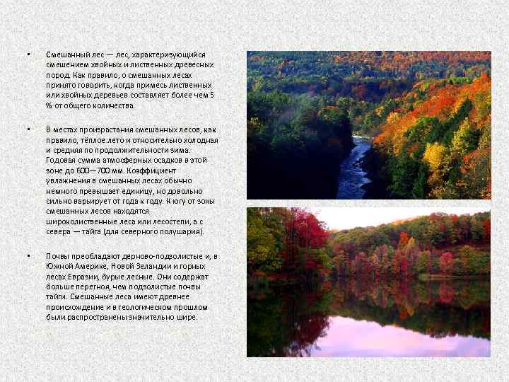  • Смешанный лес — лес, характеризующийся смешением хвойных и лиственных древесных пород. Как
