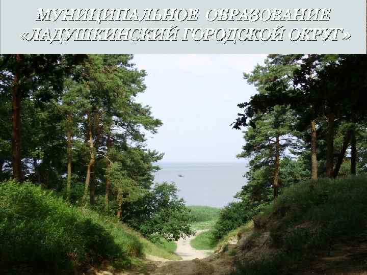 МУНИЦИПАЛЬНОЕ ОБРАЗОВАНИЕ «ЛАДУШКИНСКИЙ ГОРОДСКОЙ ОКРУГ» 