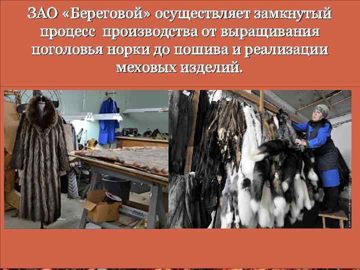 ЗАО «Береговой» осуществляет замкнутый процесс производства от выращивания поголовья норки до пошива и реализации