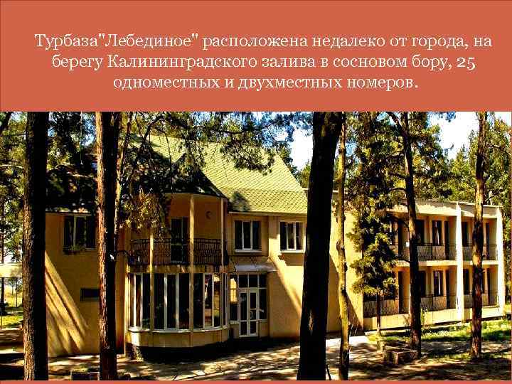 Турбаза"Лебединое" расположена недалеко от города, на берегу Калининградского залива в сосновом бору, 25