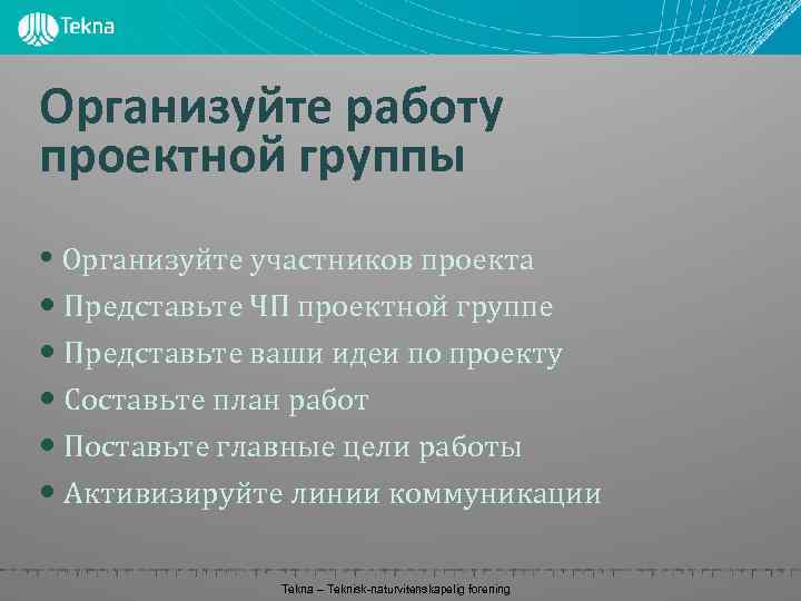 Организуйте работу проектной группы • Организуйте участников проекта • Представьте ЧП проектной группе •