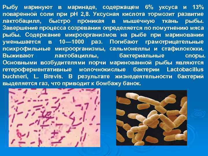 Рыбу маринуют в маринаде, содержащем 6% уксуса и 13% поваренной соли при р. Н