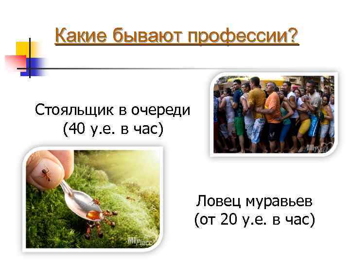 Какие бывают профессии? Стояльщик в очереди (40 у. е. в час) Ловец муравьев (от