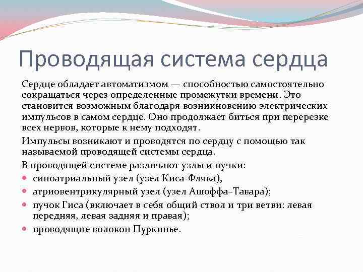 Проводящая система сердца Сердце обладает автоматизмом — способностью самостоятельно сокращаться через определенные промежутки времени.