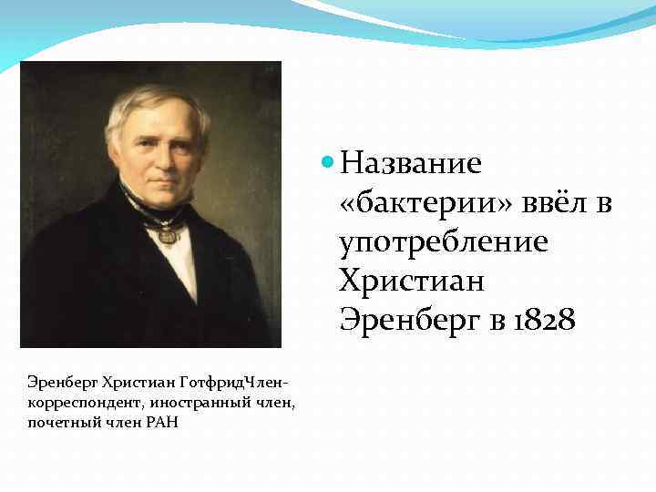  Название «бактерии» ввёл в употребление Христиан Эренберг в 1828 Эренберг Христиан Готфрид. Членкорреспондент,