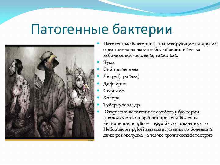 Патогенные бактерии Паразитирующие на других организмах вызывают большое количество заболеваний человека, таких как: Чума