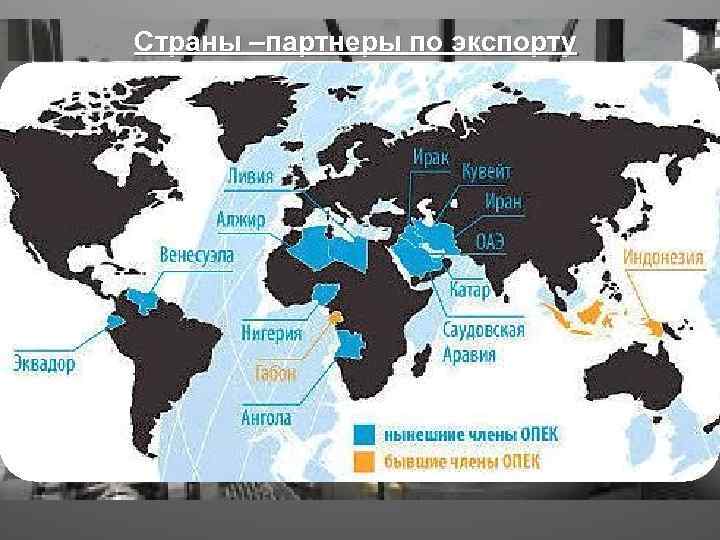 Страны –партнеры по экспорту 