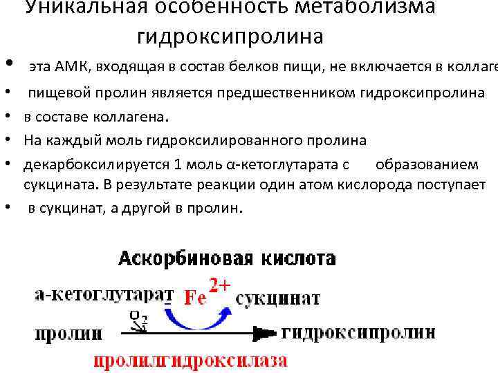  • Уникальная особенность метаболизма гидроксипролина эта АМК, входящая в состав белков пищи, не