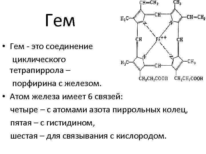 Гем • Гем - это соединение циклического тетрапиррола – порфирина с железом. • Атом