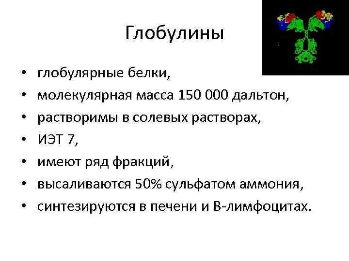 Глобулины • • глобулярные белки, молекулярная масса 150 000 дальтон, растворимы в солевых растворах,