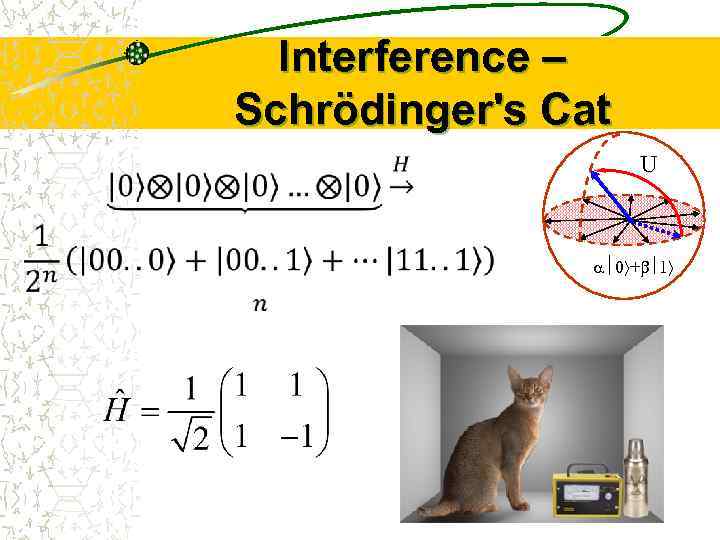 Interference – Schrödinger's Cat U 0 + 1 