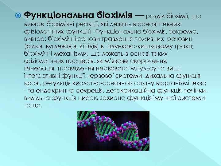  Функціональна біохімія — розділ біохімії, що вивчає біохімічні реакції, які лежать в основі