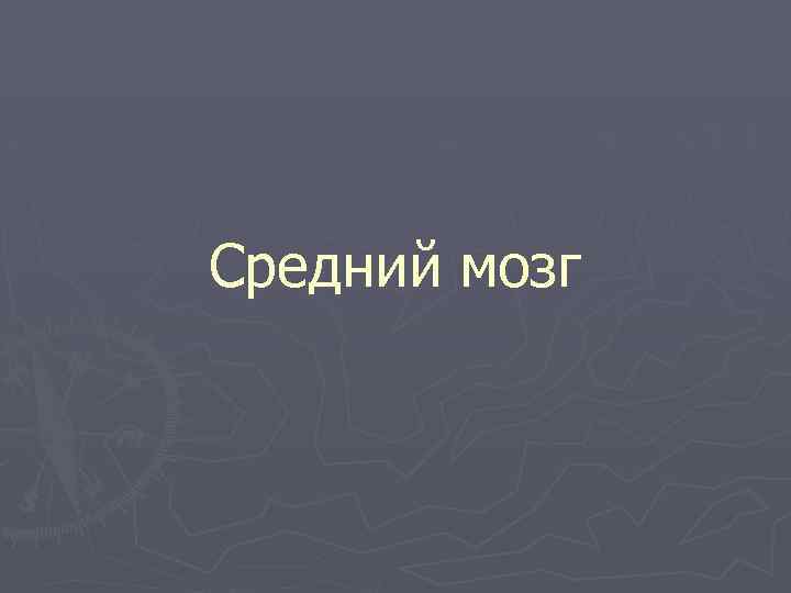 Средний мозг 