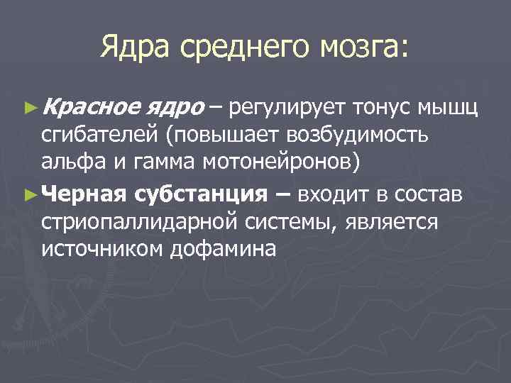 Ядра среднего мозга: ► Красное ядро – регулирует тонус мышц сгибателей (повышает возбудимость альфа