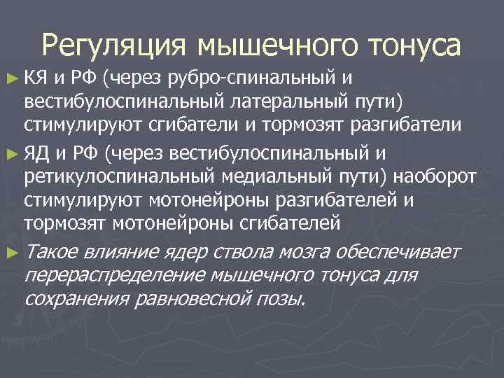 Регуляция мышечного тонуса ► КЯ и РФ (через рубро-спинальный и вестибулоспинальный латеральный пути) стимулируют