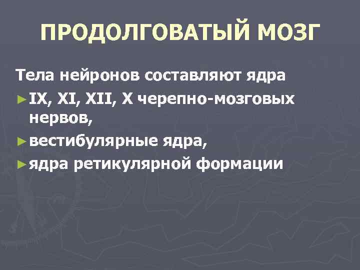 ПРОДОЛГОВАТЫЙ МОЗГ Тела нейронов составляют ядра ► IX, XII, X черепно-мозговых нервов, ► вестибулярные