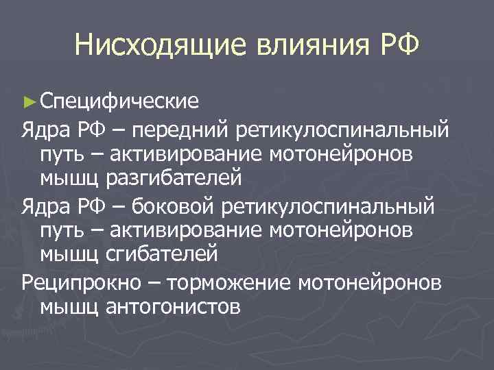 Нисходящие влияния РФ ► Специфические Ядра РФ – передний ретикулоспинальный путь – активирование мотонейронов