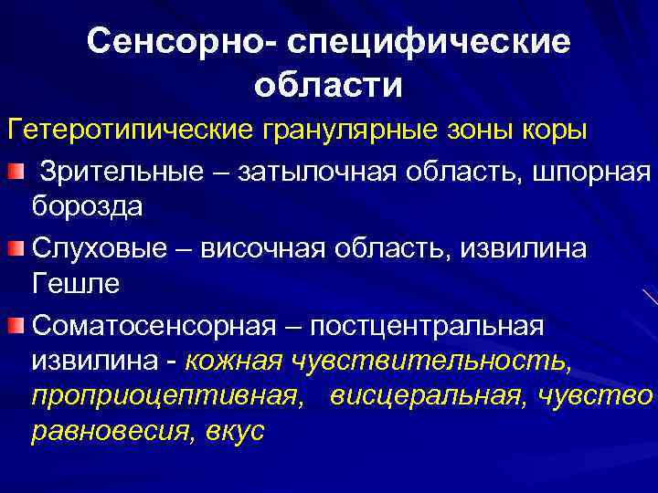 Сенсорно- специфические области Гетеротипические гранулярные зоны коры Зрительные – затылочная область, шпорная борозда Слуховые