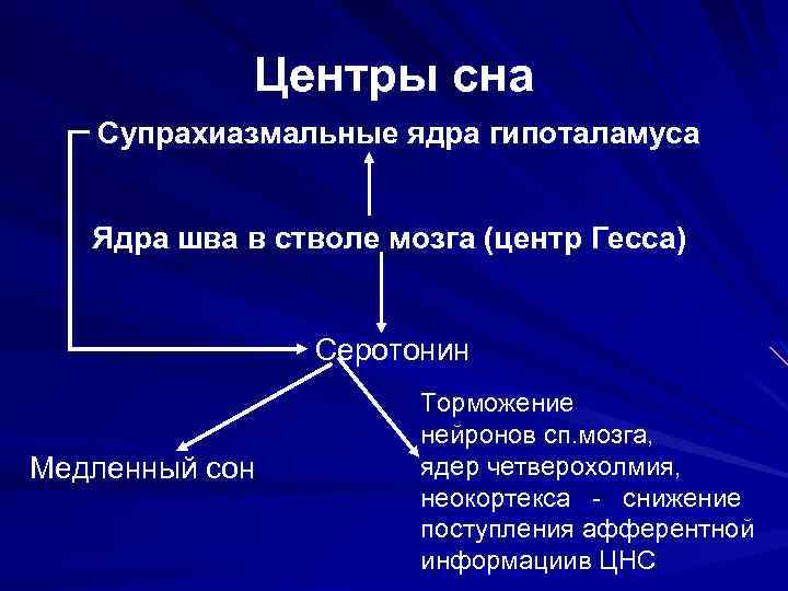 Центры сна Супрахиазмальные ядра гипоталамуса Ядра шва в стволе мозга (центр Гесса) Серотонин Медленный