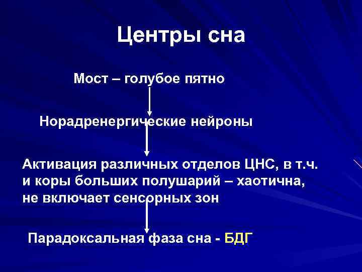 Центры сна Мост – голубое пятно Норадренергические нейроны Активация различных отделов ЦНС, в т.