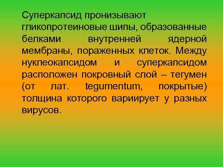 Суперкапсид пронизывают гликопротеиновые шипы, образованные белками внутренней ядерной мембраны, пораженных клеток. Между нуклеокапсидом и