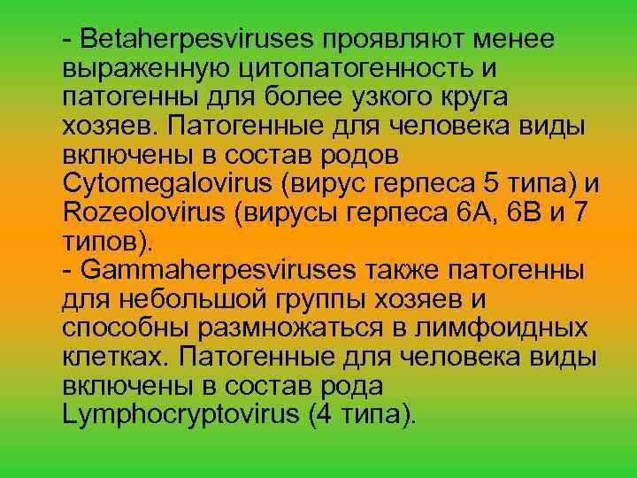 - Betaherpesviruses проявляют менее выраженную цитопатогенность и патогенны для более узкого круга хозяев. Патогенные