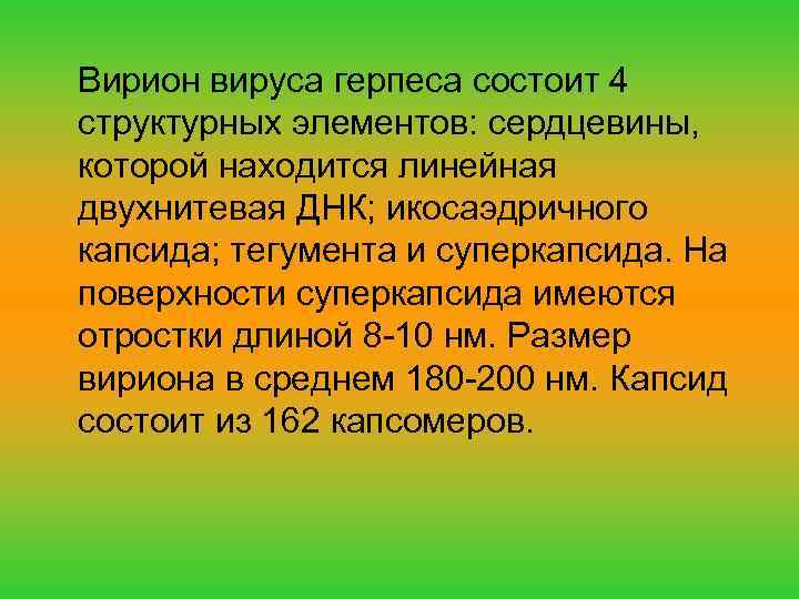Вирион вируса герпеса состоит 4 структурных элементов: сердцевины, которой находится линейная двухнитевая ДНК; икосаэдричного
