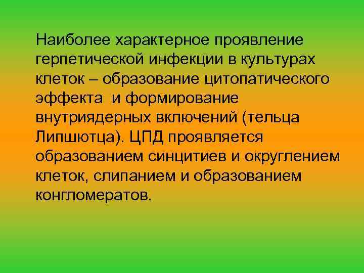 Наиболее характерное проявление герпетической инфекции в культурах клеток – образование цитопатического эффекта и формирование