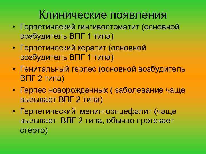 Клинические появления • Герпетический гингивостоматит (основной возбудитель ВПГ 1 типа) • Герпетический кератит (основной