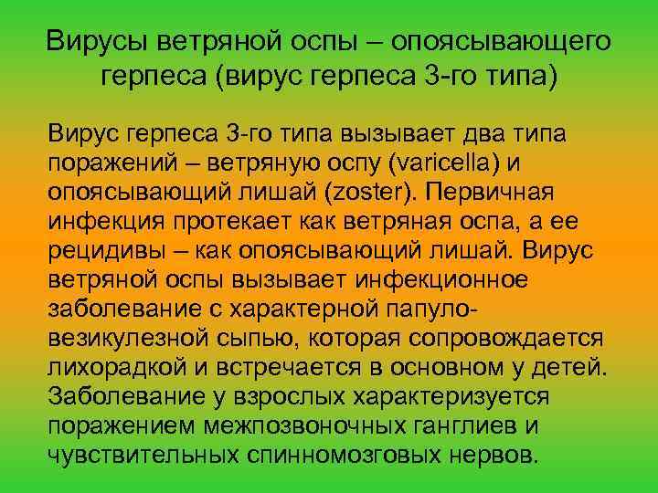 Вирусы ветряной оспы – опоясывающего герпеса (вирус герпеса 3 -го типа) Вирус герпеса 3