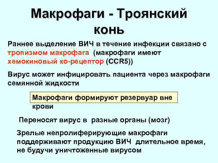 Макрофаги - Троянский конь Раннее выделение ВИЧ в течение инфекции связано с тропизмом макрофага