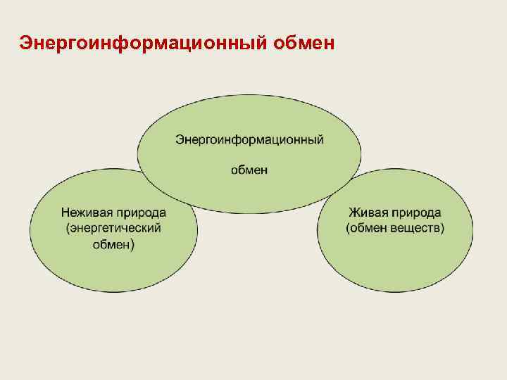 Энергоинформационный обмен 