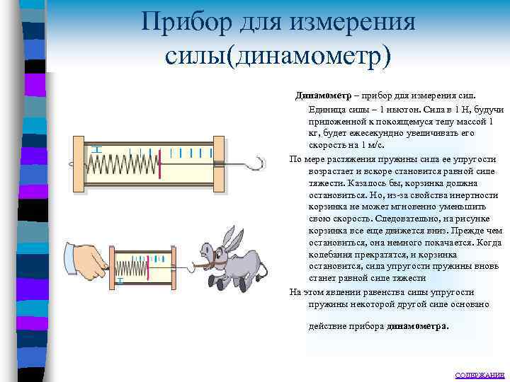 Прибор для измерения силы(динамометр) Динамометр – прибор для измерения сил. Единица силы – 1