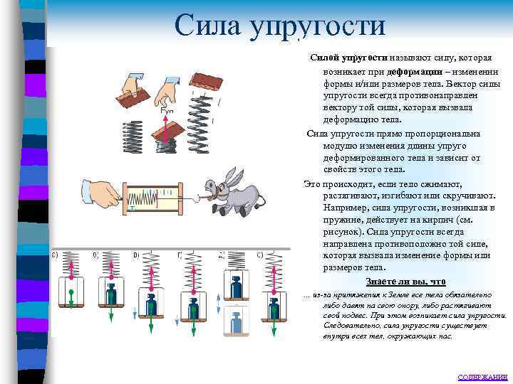 Сила упругости Силой упругости называют силу, которая возникает при деформации – изменении формы и/или