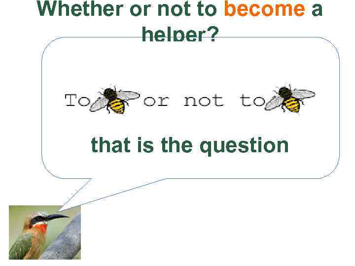 Whether or not to become a helper? that is the question 