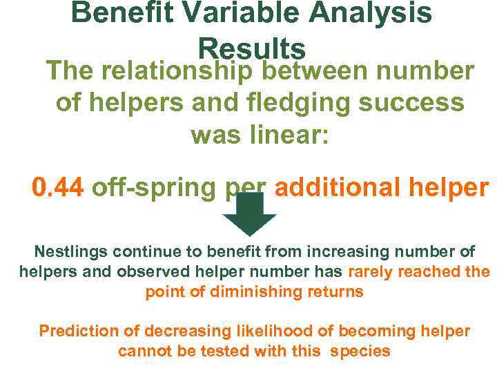 Benefit Variable Analysis Results The relationship between number of helpers and fledging success was