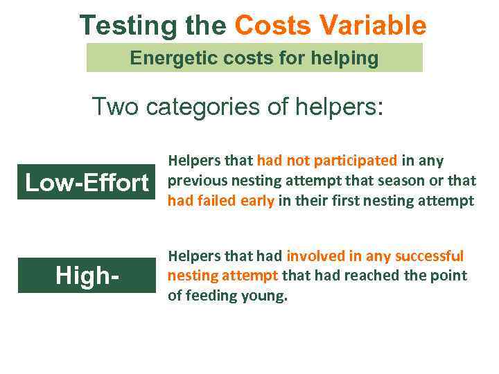 Testing the Costs Variable Energetic costs for helping Two categories of helpers: Low-Effort High.