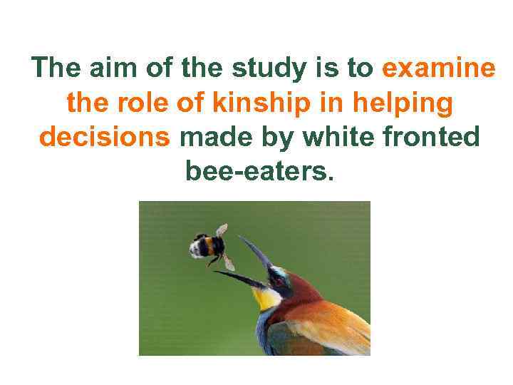 The aim of the study is to examine the role of kinship in helping