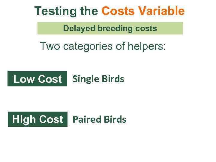 Testing the Costs Variable Delayed breeding costs Two categories of helpers: Low Cost Single