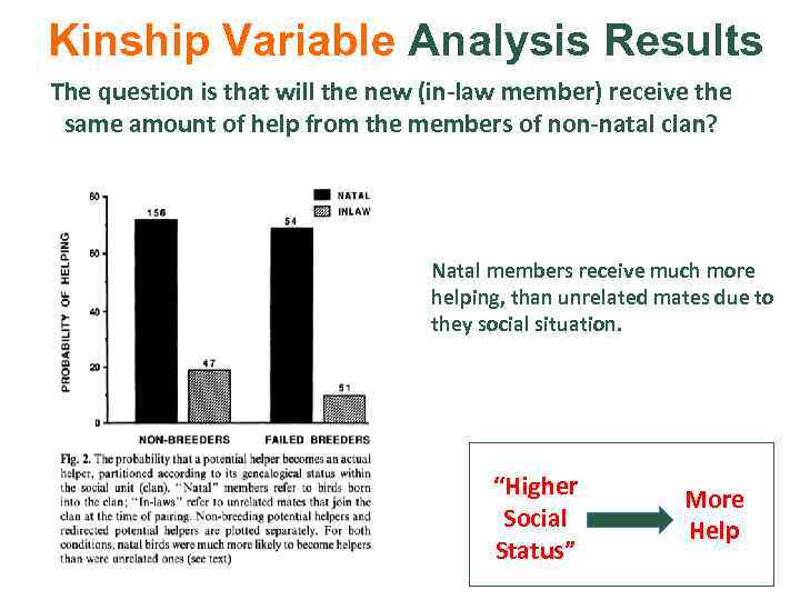 Kinship Variable Analysis Results The question is that will the new (in-law member) receive