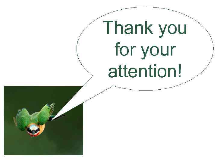 Thank you for your attention! 