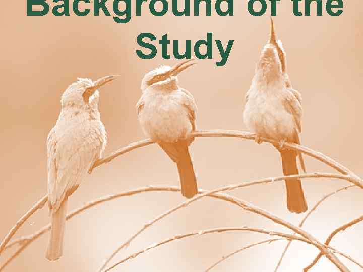 Background of the Study 