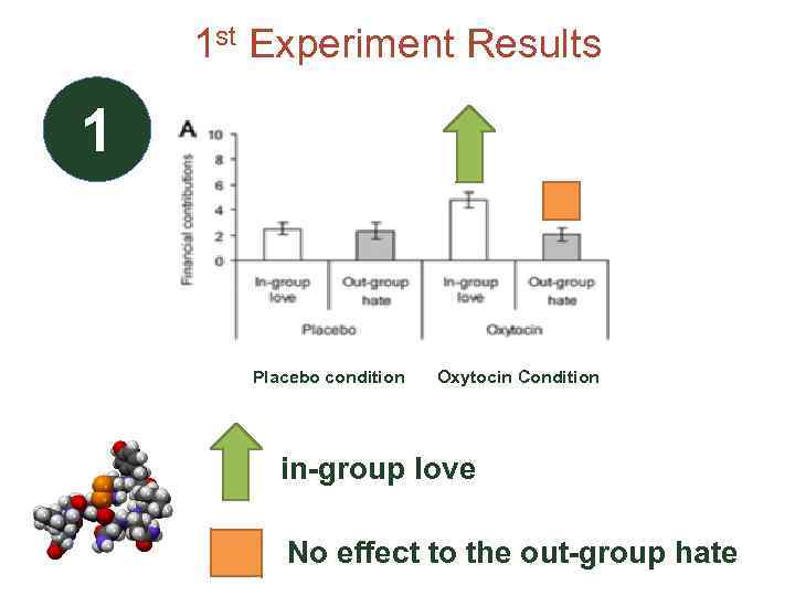 1 st Experiment Results 1 Placebo condition Oxytocin Condition in-group love No effect to