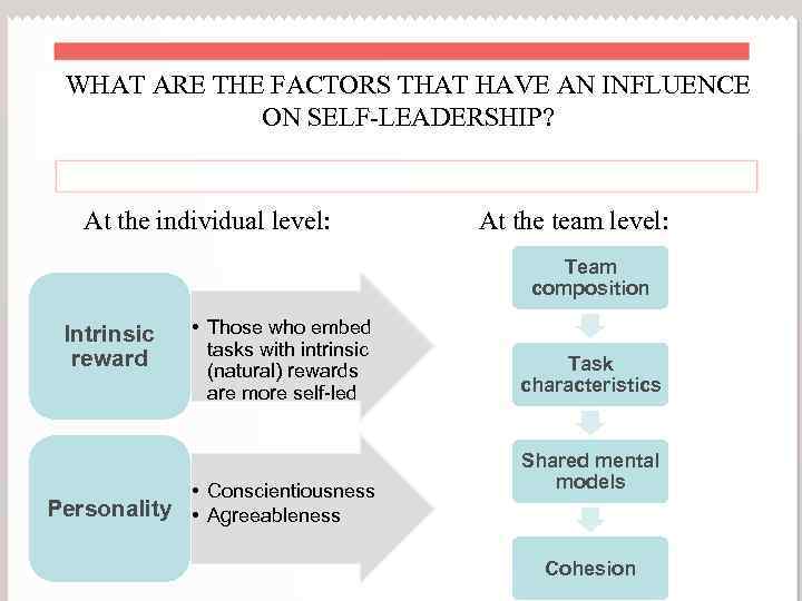 WHAT ARE THE FACTORS THAT HAVE AN INFLUENCE ON SELF-LEADERSHIP? At the individual level: