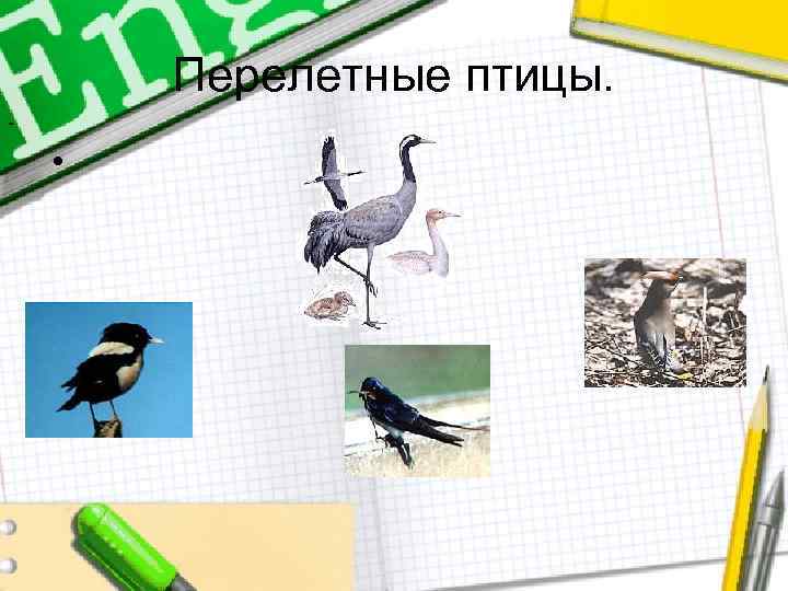 Перелетные птицы. - • 