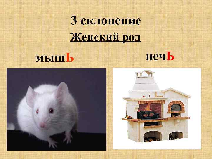 3 склонение Женский род мыш. Ь печ. Ь 