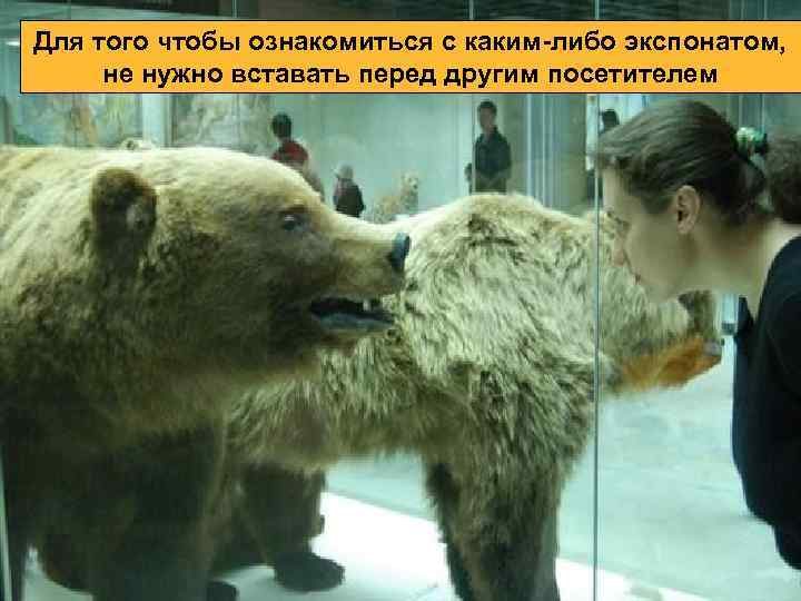 Для того чтобы ознакомиться с каким-либо экспонатом, не нужно вставать перед другим посетителем 